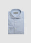 CANALI STRIPED DRESS SHIRT IN BLUE & WHITE 