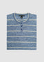 AUTUMN CASHMERE T-SHIRT IN INDIGO MOSS STRIPE